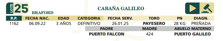 Lote LOTE 25