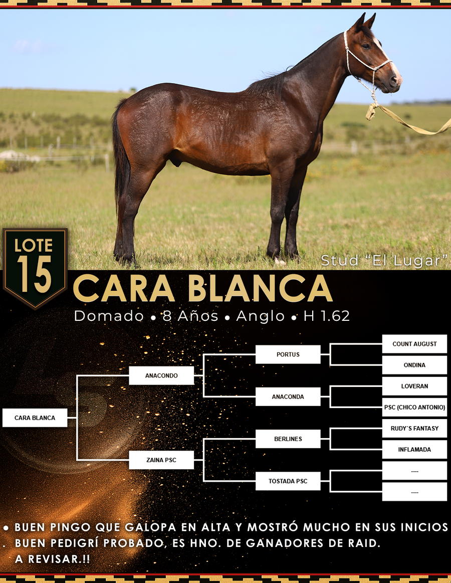 Lote CARA BLANCA