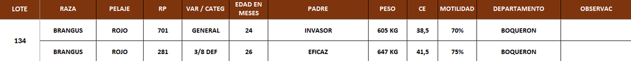Lote LOTE 134