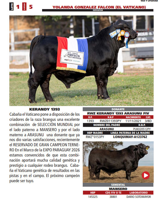 Lote LOTE 1