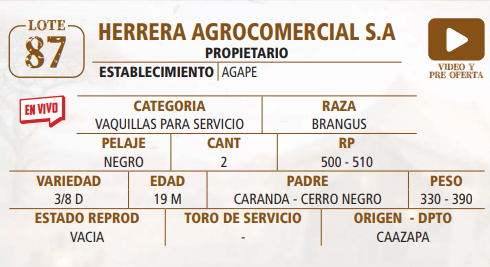 Lote LOTE 87 -EN VIVO