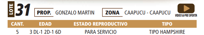 Lote LOTE 31 -POR PANTALLA