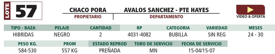 Lote LOTE 57