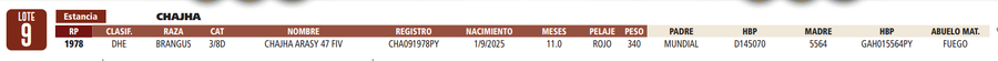 Lote LOTE 9