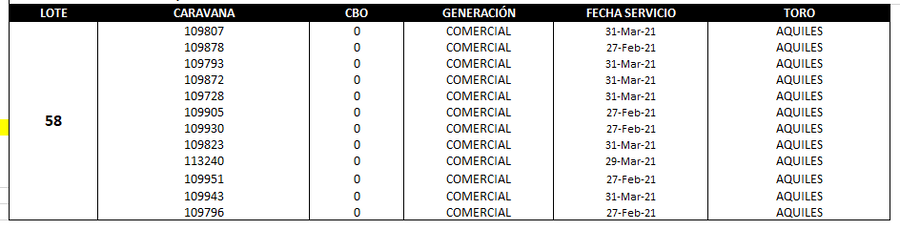 Lote Reproductores de Alborada - Lote 58