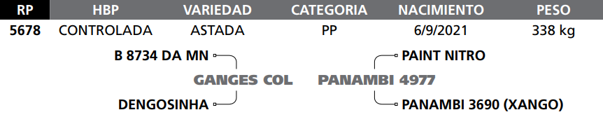 Lote LOTE 51 A BOZAL- RP 5678