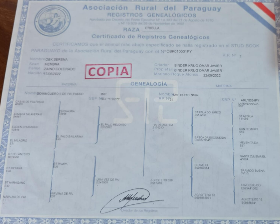 Lote LOTE 22- DE BOZAL