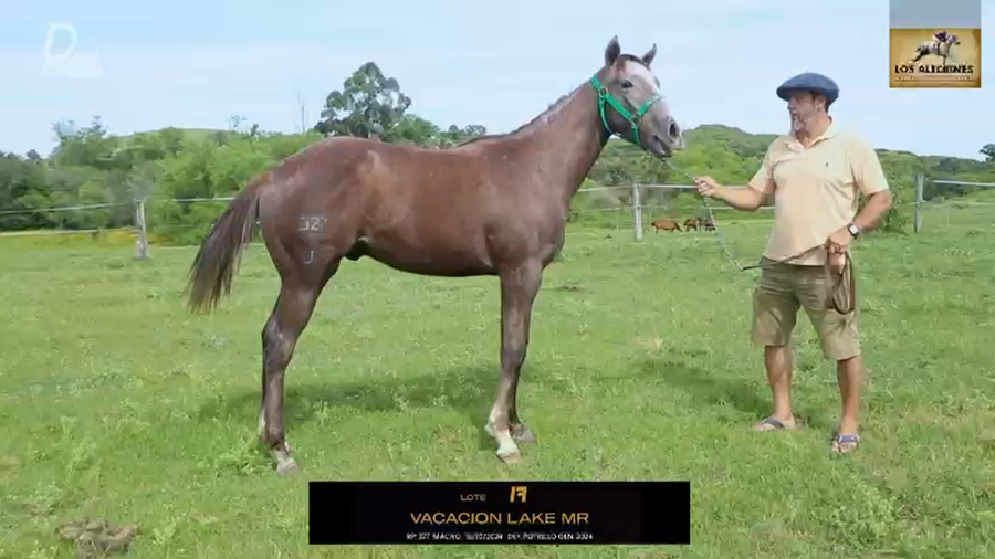 Lote VACACION LAKE MR