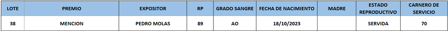Lote LOTE 38