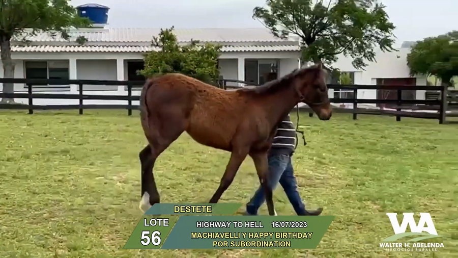 Lote HIGHWAY TO HELL