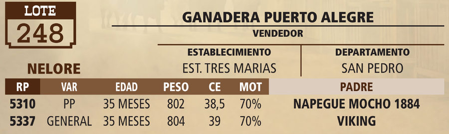 Lote LOTE 248 - VIVO