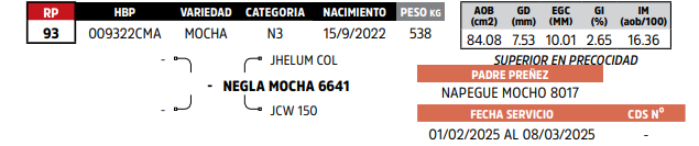 Lote LOTE 75