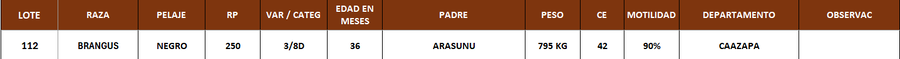 Lote LOTE 112