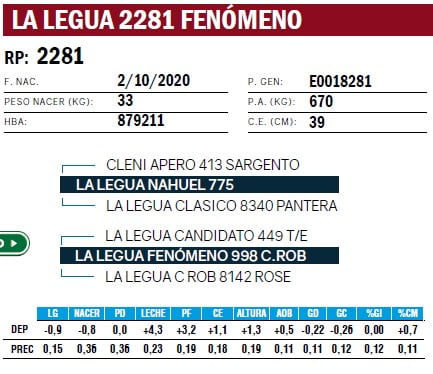 Lote TOROS ANGUS PURO DE PEDIGREE