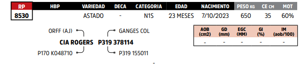 Lote LOTE 66