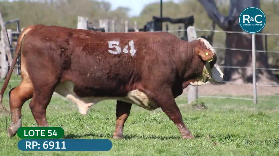 Lote Toros señal 22