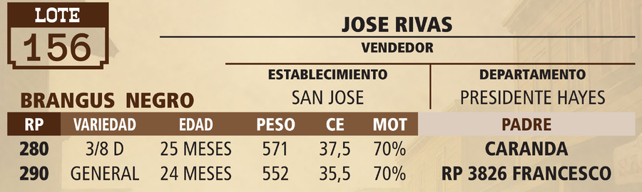 Lote LOTE 156 - VIVO