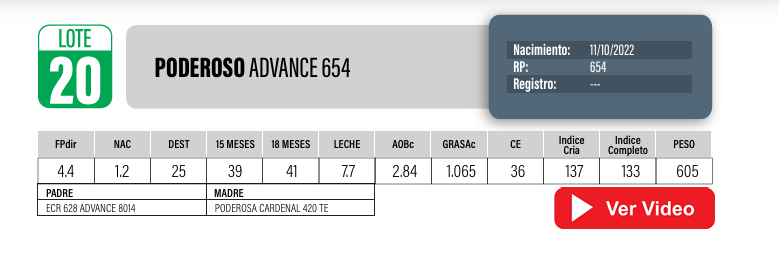 Lote Toros PI / PO / PC Hereford a remate en Cabaña La Poderosa, Florida