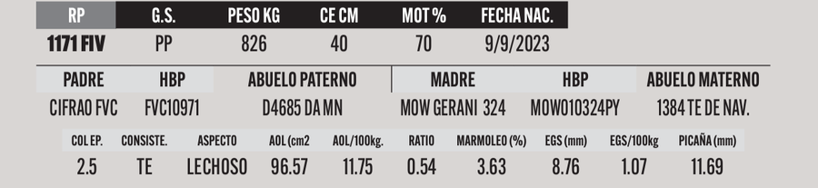 Lote LOTE 56