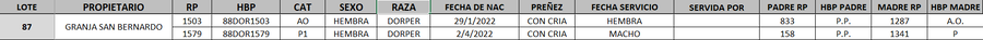 Lote LOTE 87- DESTACADO