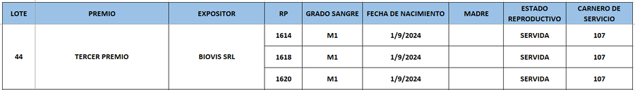Lote LOTE 44