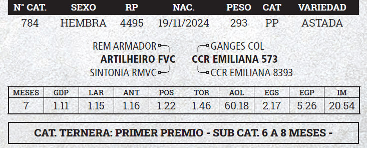 Lote LOTE 12 - BOZAL