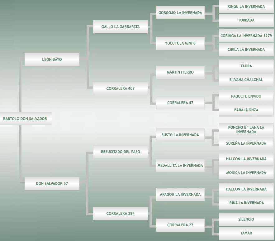 Lote Bartolo Don Salvador