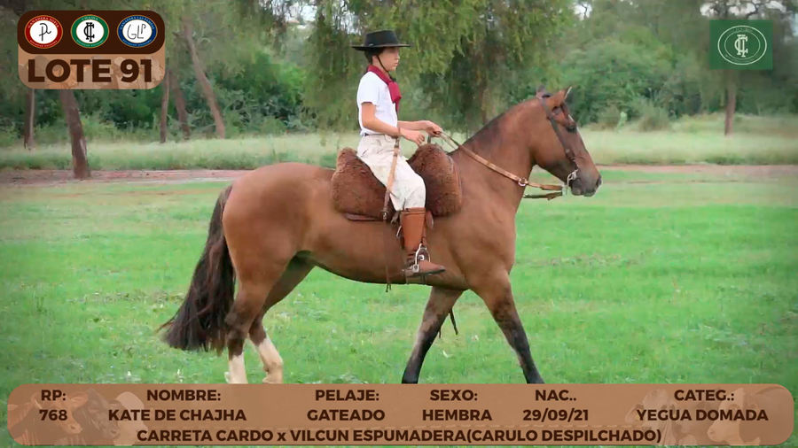 Lote LOTE 91