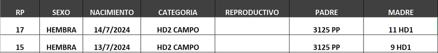 Lote LOTE 1- CAMPO