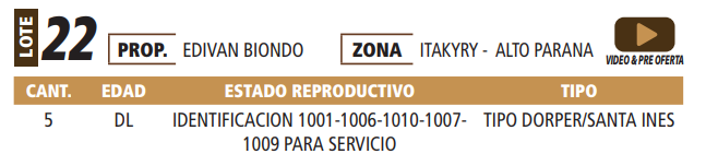 Lote LOTE 22 -POR PANTALLA