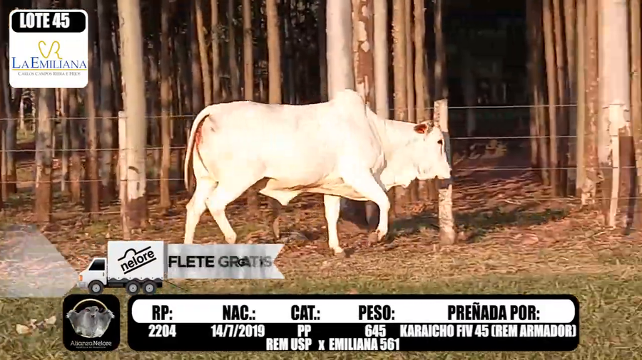 Lote LOTE 45-  RP E 2204
