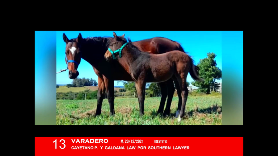 Lote VARADERO