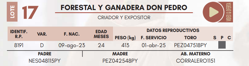 Lote LOTE 17 HEMBRAS DE CAMPO