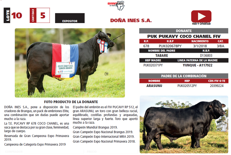 Lote LOTE 10