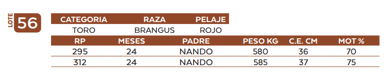 Lote LOTE 56