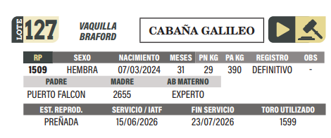 Lote LOTE 127