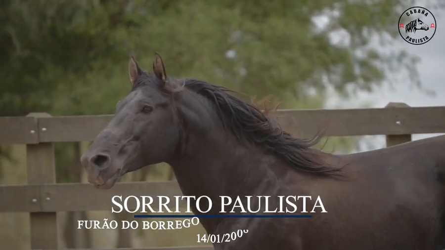 Lote Sorrito Paulista
