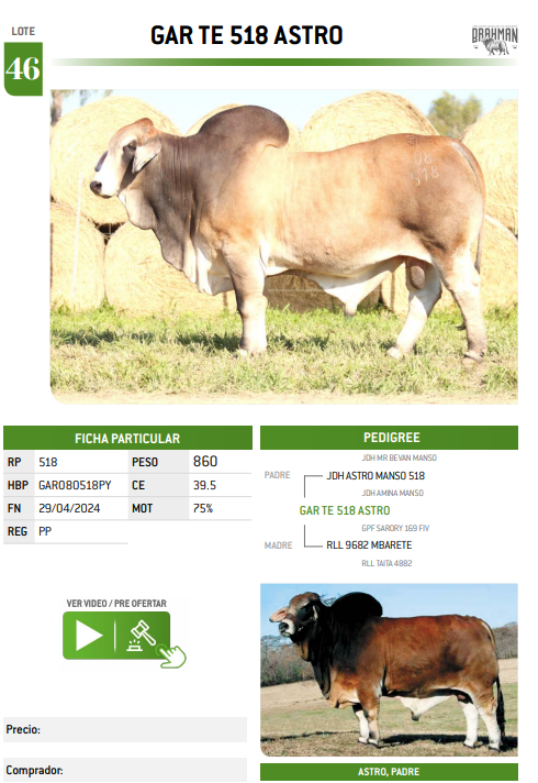 Lote LOTE 46