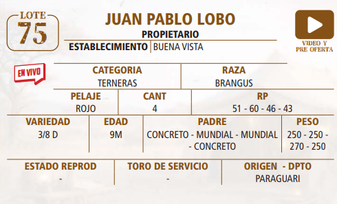 Lote LOTE 75 -EN VIVO