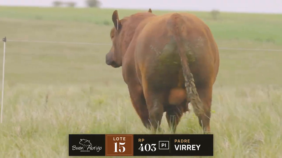 Lote LOTE 15 · TORO PI · RP 433 · TE, 429, 403