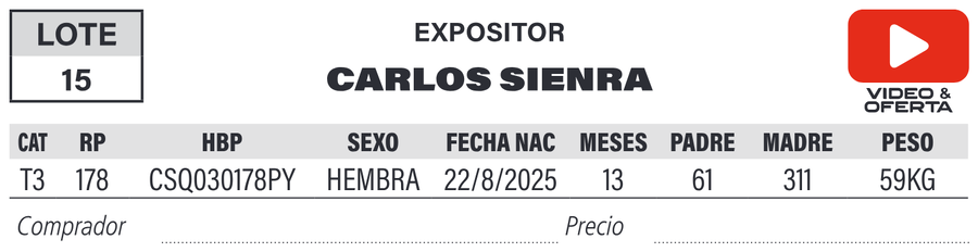 Lote LOTE 15