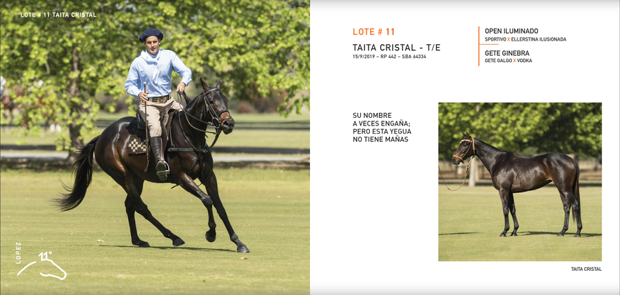 Lote TAITA CRISTAL - T/E (OPEN ILUMINADO - GETE GINEBRA)