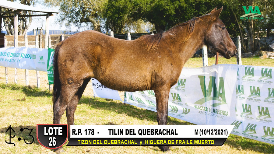 Lote TILIN DEL QUEBRACHAL