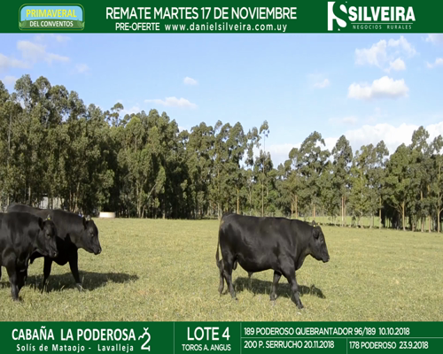 Lote Cabaña La Poderosa