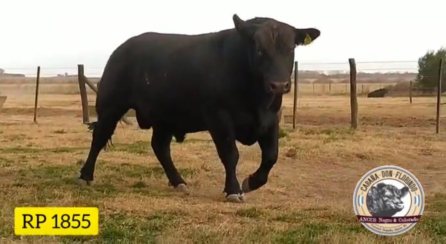 Lote CABAÑA DON FLORINDO