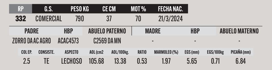 Lote LOTE 52