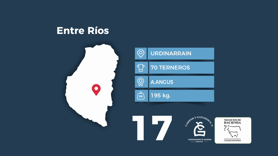 Lote 70 Terneros en Entre Ríos, Urdinarrain