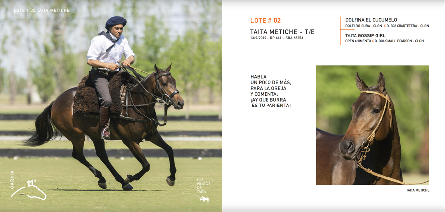 Lote TAITA METICHE - T/E (DOLFINA EL CUCUMELO - TAITA GOSSIP GIRL)