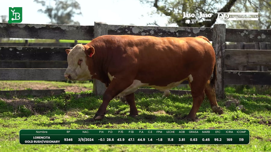 Lote Del Este / Cabaña La Lorencita