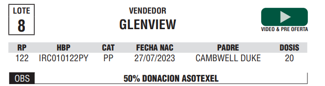 Lote LOTE 8